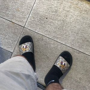 Meet your Posher, Quinn